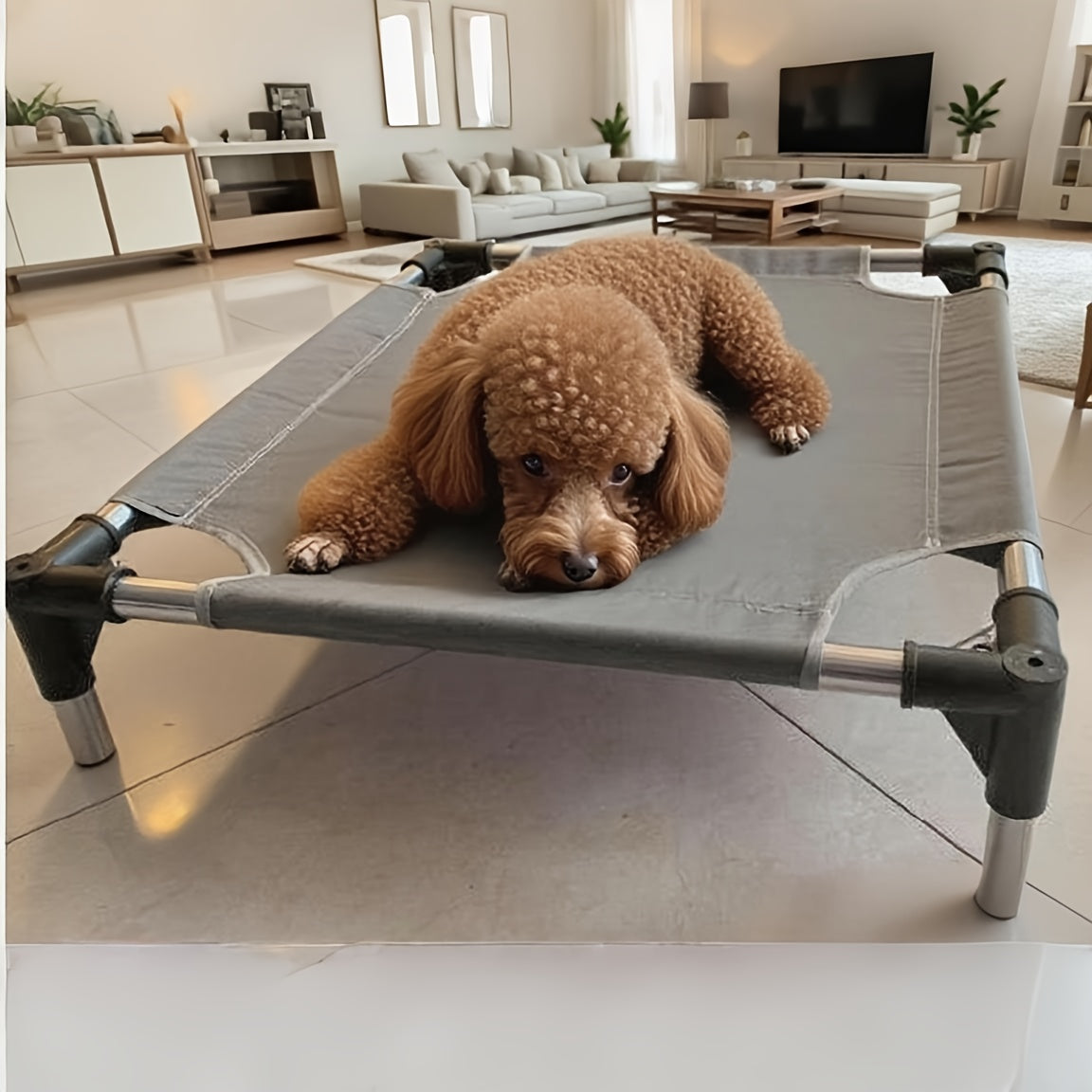 1Pc Gray Pet Bed With Breathable Mesh & Stainless Steel Frame - Portable Foldable Design, Easy Assembly & Storage, Durable Polyester Fiber For Small/Medium Dogs, Cats, Puppies - All-Season Use, Det...