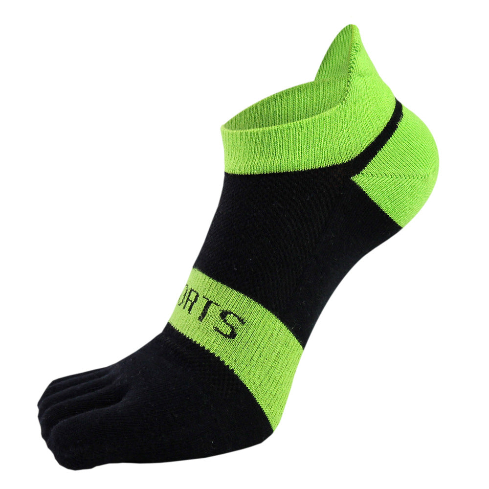 cjv6