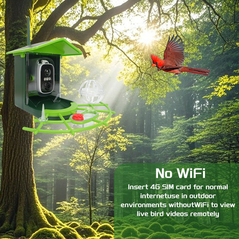 Solar Powered Bird Feeder Camera