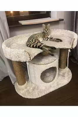 Plush pet bed and play mat with raised house