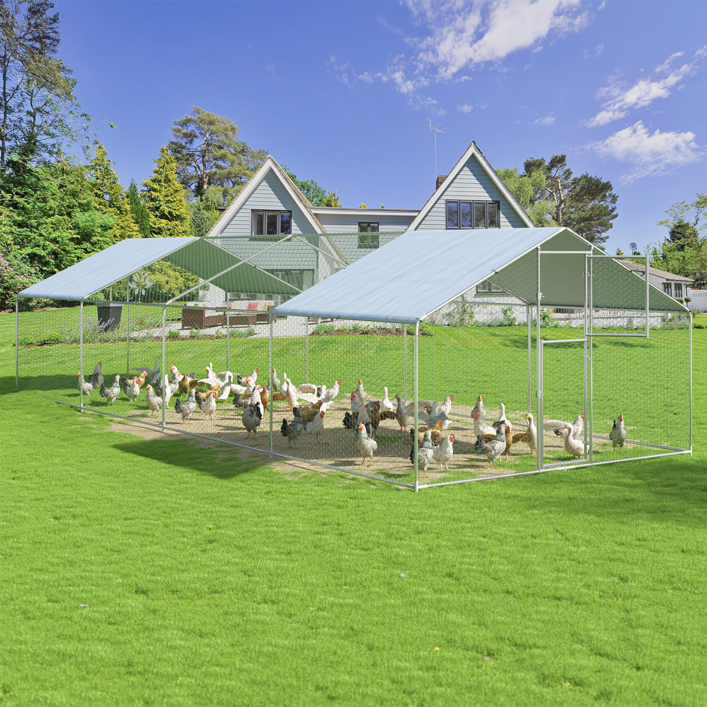 Metal Walk-in Chicken Coop – 7 ft, 13 ft, 20 ft, 26 ft, 33 ft, and 40 ft Options – Double Door with UV-Protection Cover