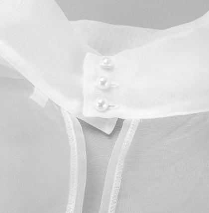 Women's Sheer Mesh Long-sleeved Shirt