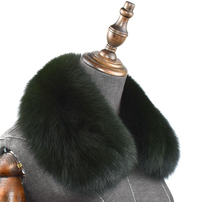 cjv6