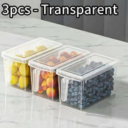 Set of 3 Plastic Refrigerator Storage Bins with Handles – Durable, Clear, Ideal for Vegetables, Fruits, Grains, Meats, and Beverages