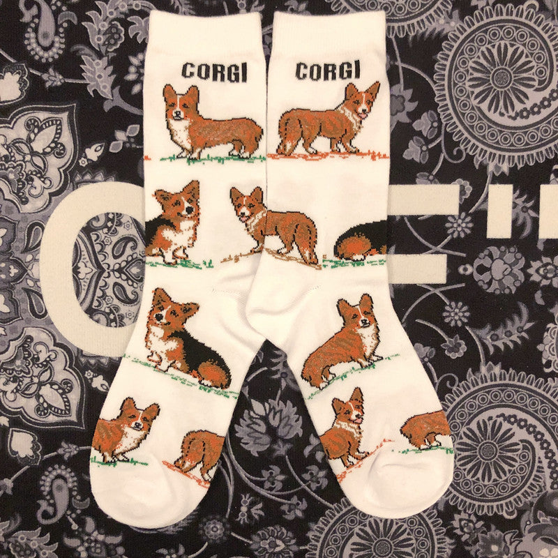 cjv4