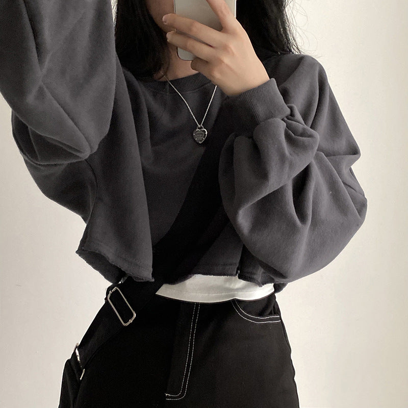Cozy Cropped Round Neck Women's Pullover Top