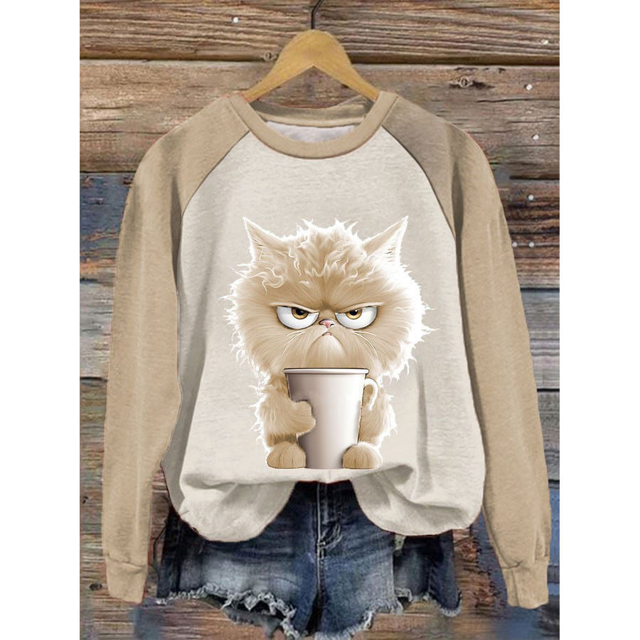 Women's 3D Cartoon Print Long Sleeve Raglan Sweater