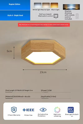 Elegant Nordic Ceiling Light for Entryways