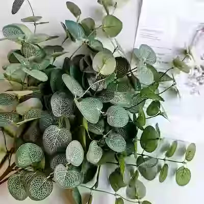Eucalyptus Branches Decor Set - 6 Long Artificial Plants