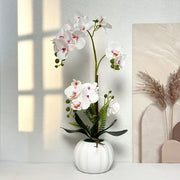 Premium artificial orchid potted plant for indoor and outdoor decor