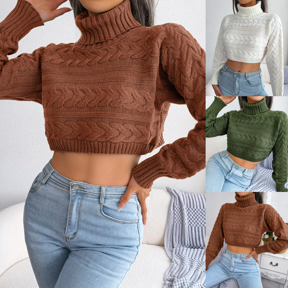 Cozy High-Neck Cable Knit Sweater for Women