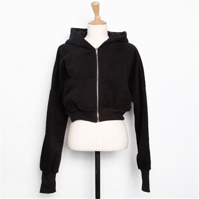 Chic Hooded Cotton Zip Sweatshirt