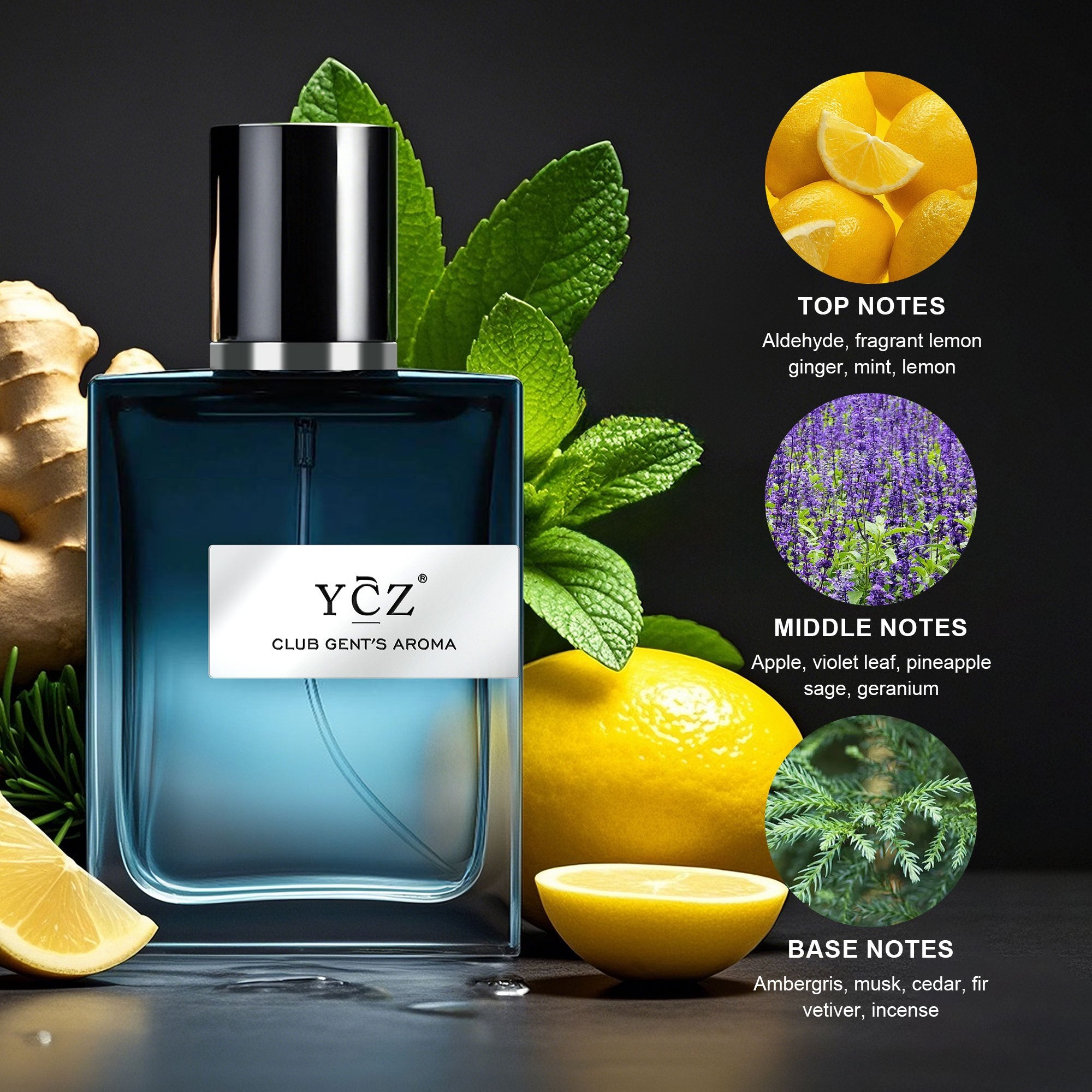 Men's Pheromone Cologne