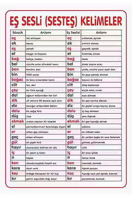 Classroom Homophones Wall Chart, Erasable and Writeable
