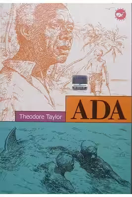 Island by Theodore Taylor | Classic Adventure Novel | Turkish Edition | Paperback