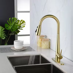 Kitchen Faucet with Pull-down Spray