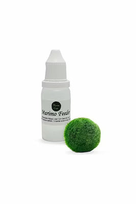 Marimo moss ball with feeding kit for easy care