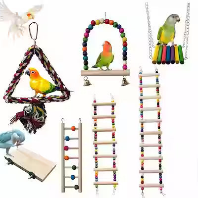Parrot Swing & Climbing Ladder Set