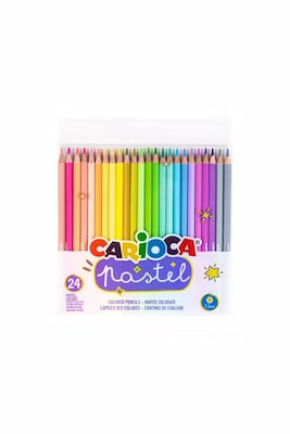 Set of 24 pastel dry crayons for artists and hobbyists