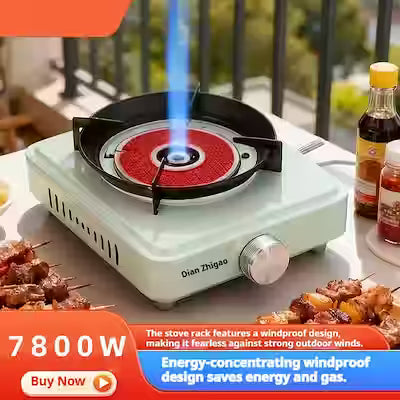 Portable Induction Cooker