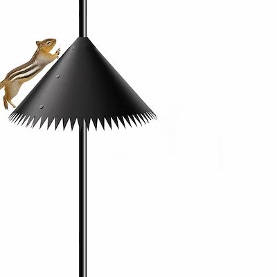 Protect Your Yard with Squirrel-Proof Bird Feeder