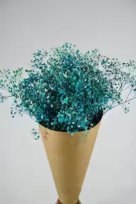 Colorful Chips for Crafts and Decorations