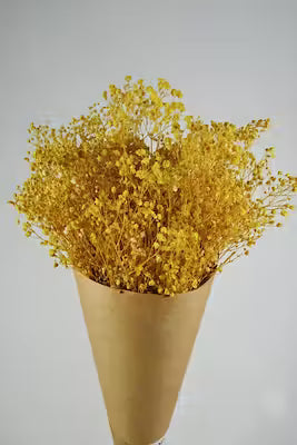 Yellow Colored Potato Chips, 45-55g Pack