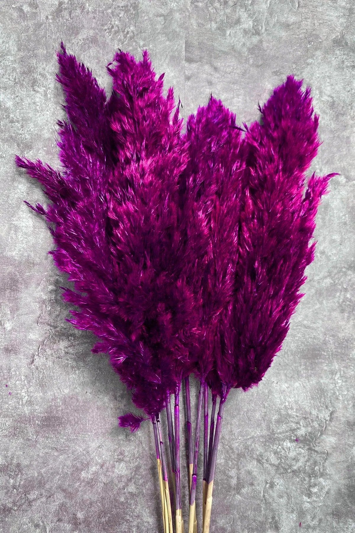 Pink pampas bundle
