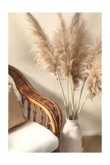 10 Pieces Natural Pampas Grass 50 Cm - Swordslife