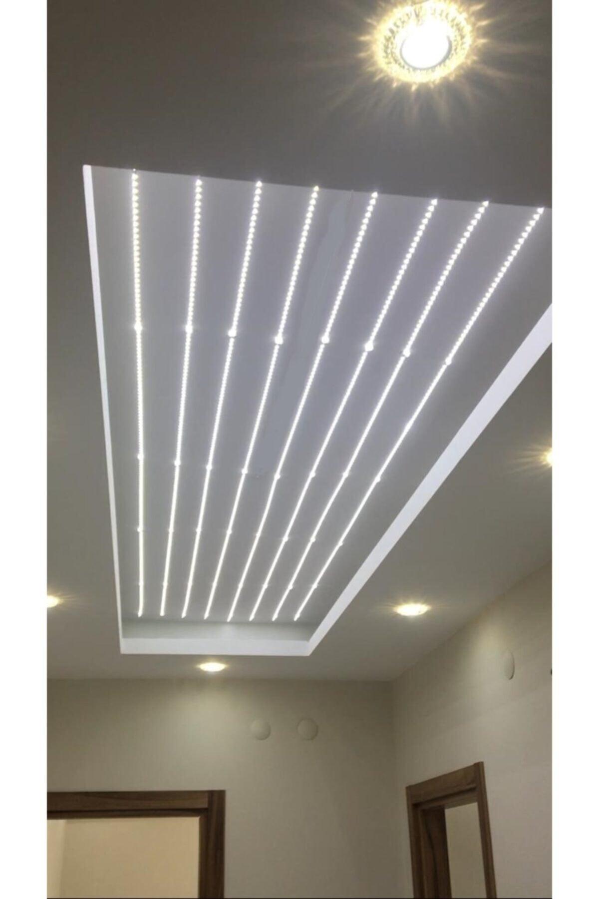 10 Chip Indoor White Color 10 Meter Strip