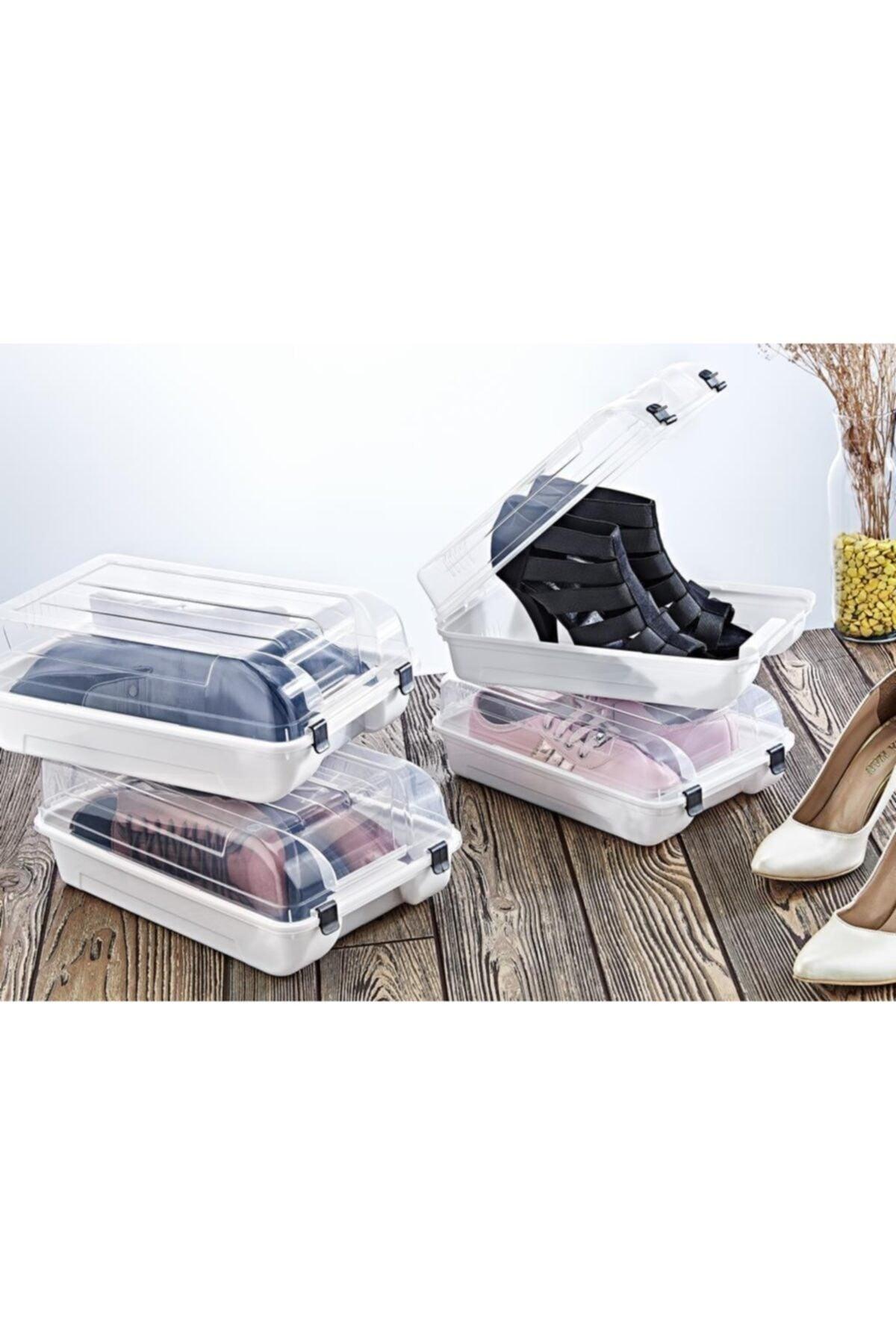 10 Pack Smartness Shoe Box Latte Maxi Men - Swordslife