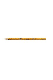 12 Bee Patterned Pencils