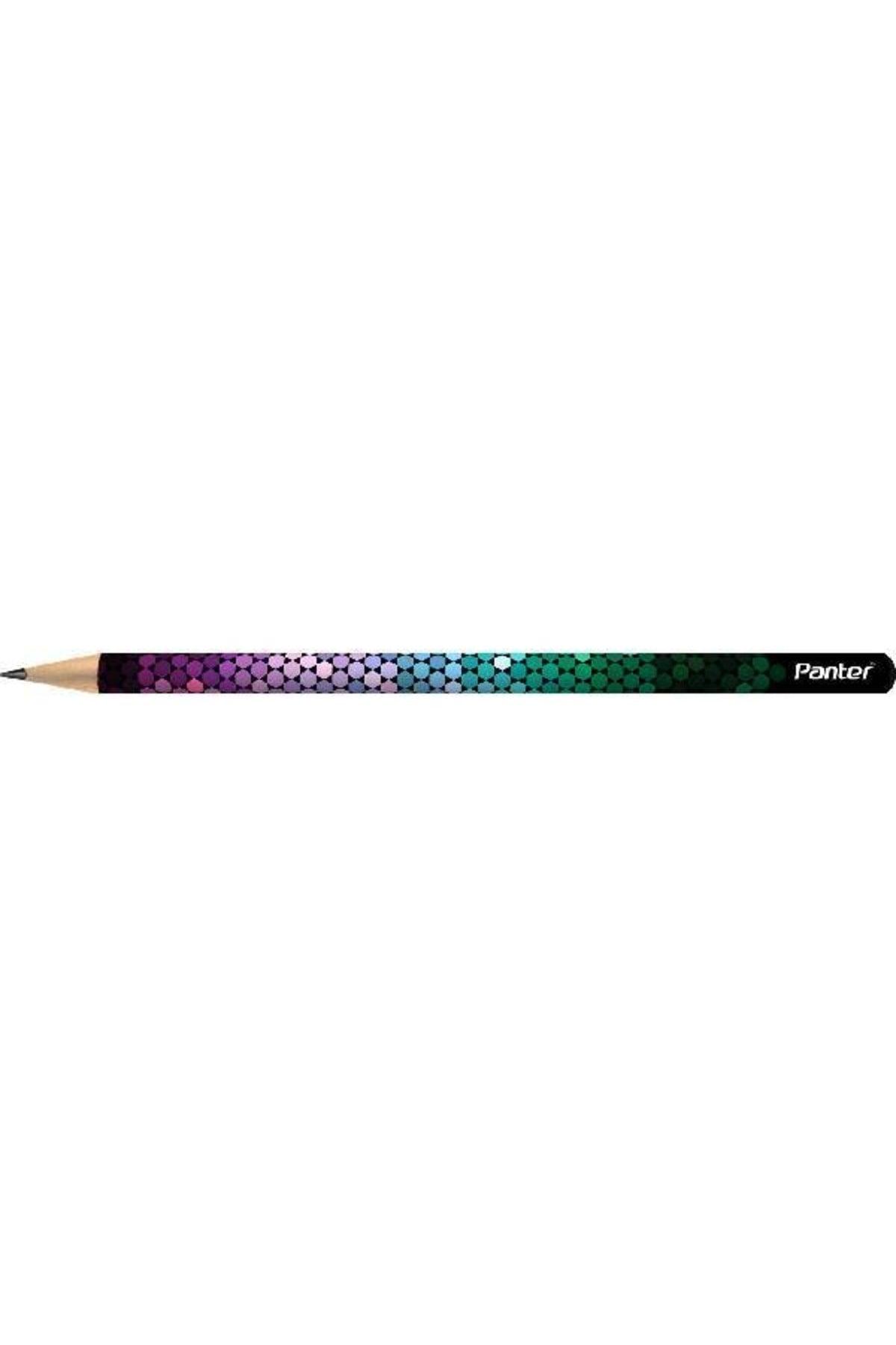 12 Pack Ladybug Pattern Pencils