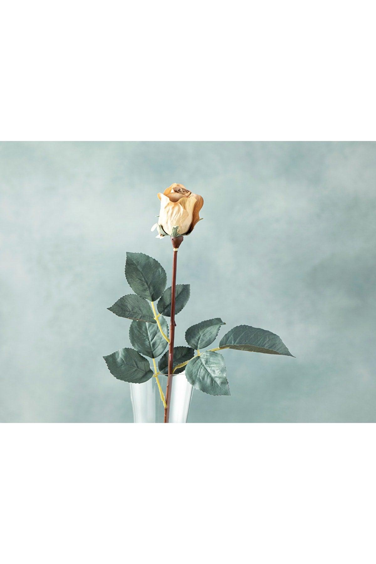 Petit Roses Single Branch Artificial Flower 50 Cm Cream - Swordslife