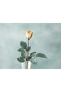 Petit Roses Single Branch Artificial Flower 50 Cm Cream - Swordslife
