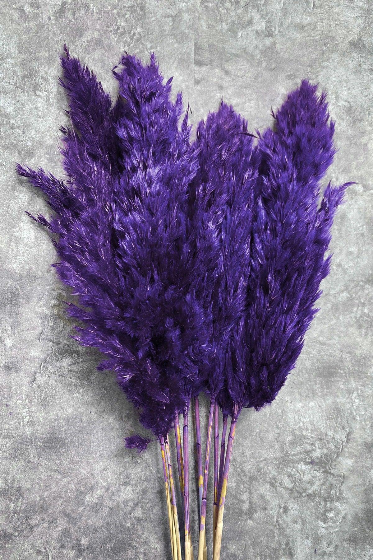 Shocked Purple Pampas Bundle of 10 - Swordslife