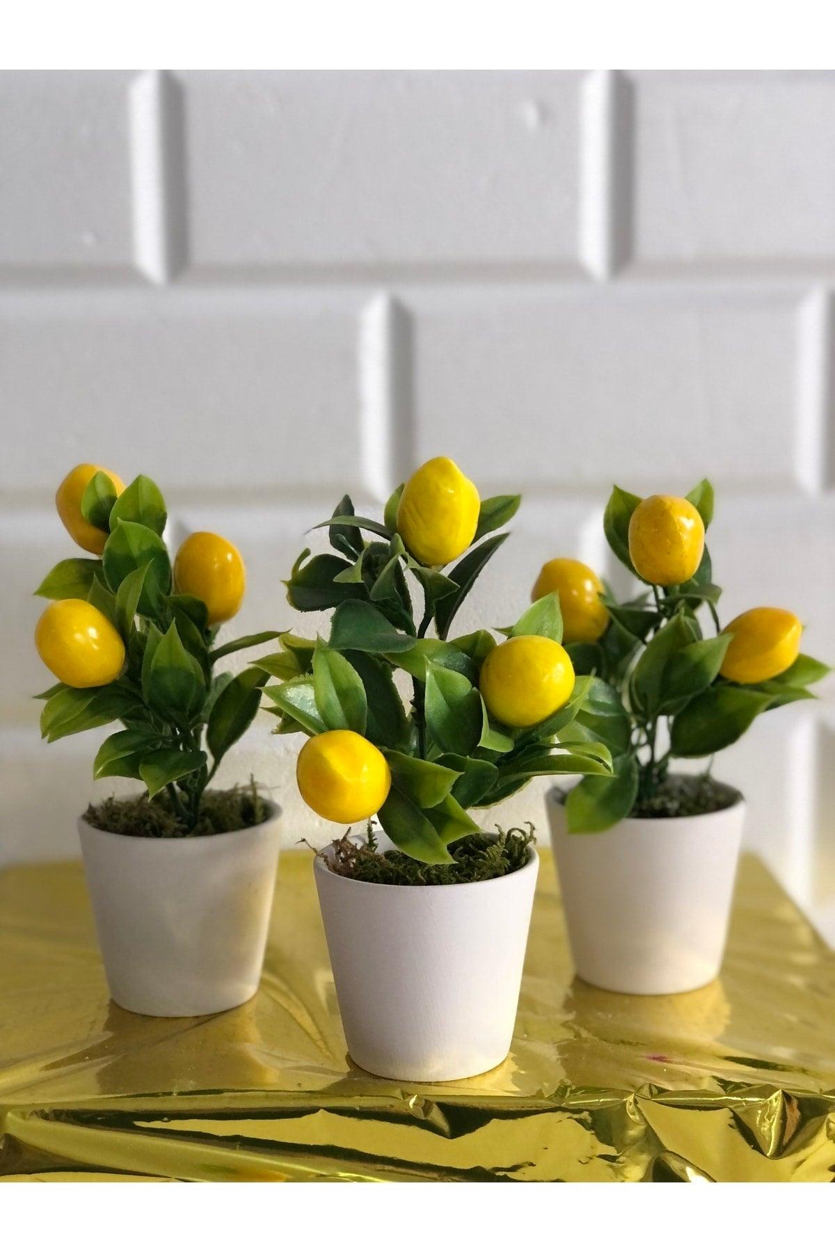 Lemon Flower in Small Stone Pot (SOLD SINGLE) - Swordslife