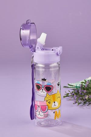 Healthy Polycarbonate Flask 500 Ml, Flask With Straw 500 Ml Cats