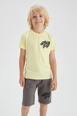 Boys Sweatshirt Fabric Shorts