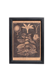Wall Decor (30x1.5x40 Cm) - Swordslife