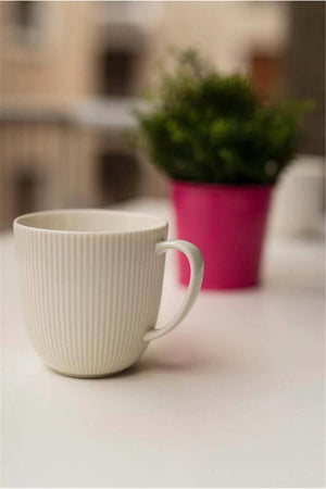 Gestreifte Porzellantasse - Ofantlıgt 9 cm Weiße Tasse Feldspatporzellan
