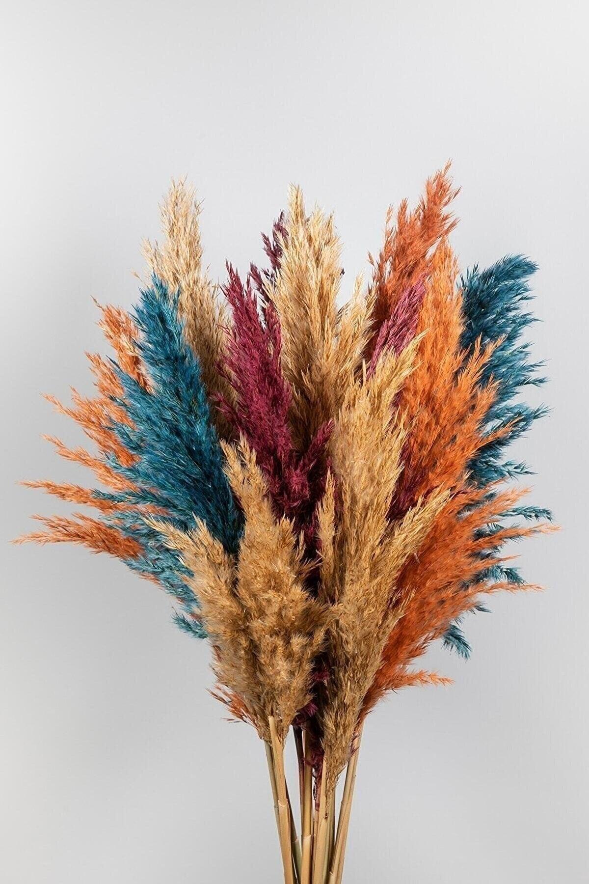 Decorative Pampas Grass 16 Pieces Autumn Color 60/100cm - Swordslife