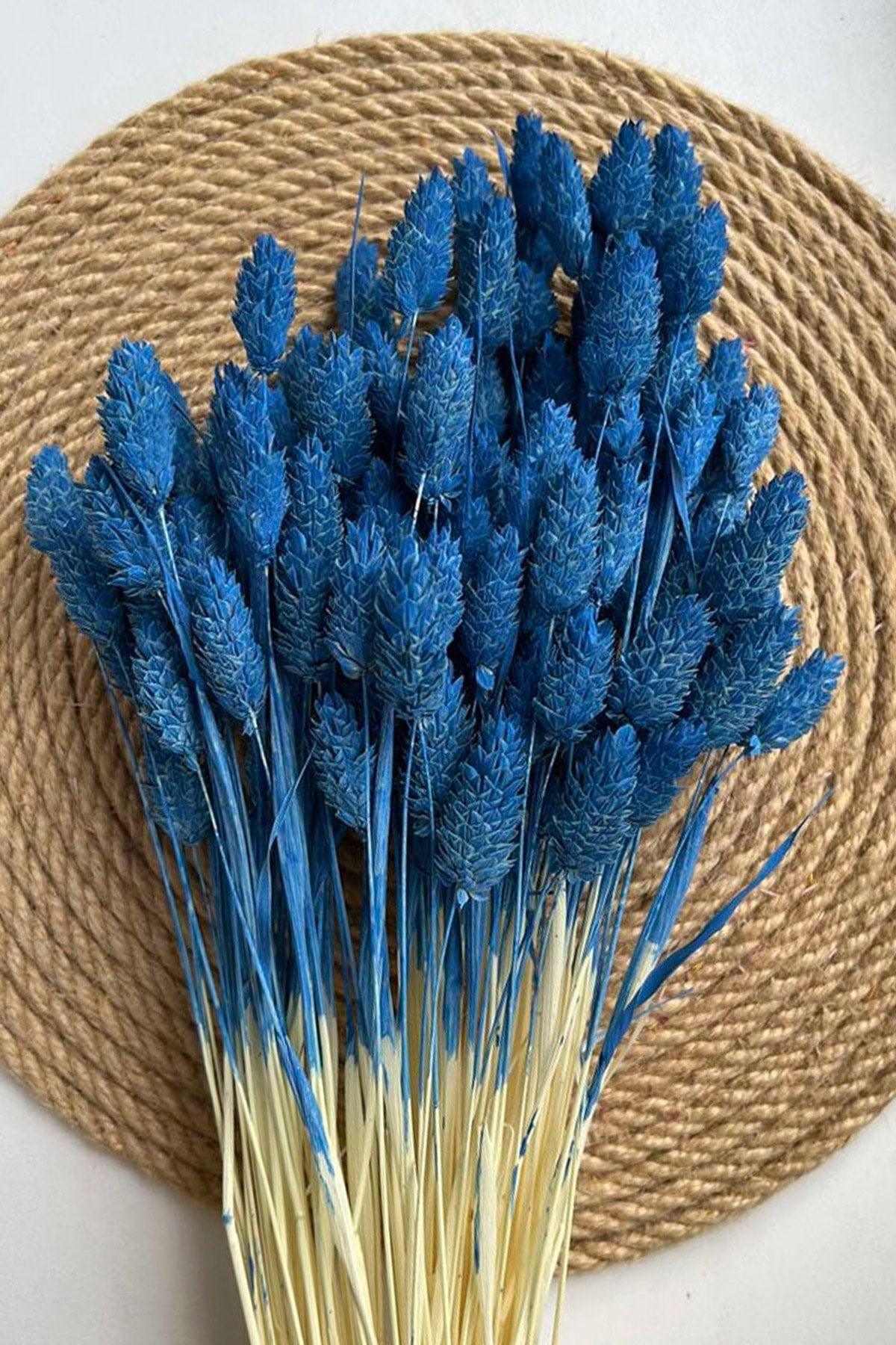 Dried Blue Bird Grass Ornamental Vase Palaris Flower 30 Branch - Swordslife