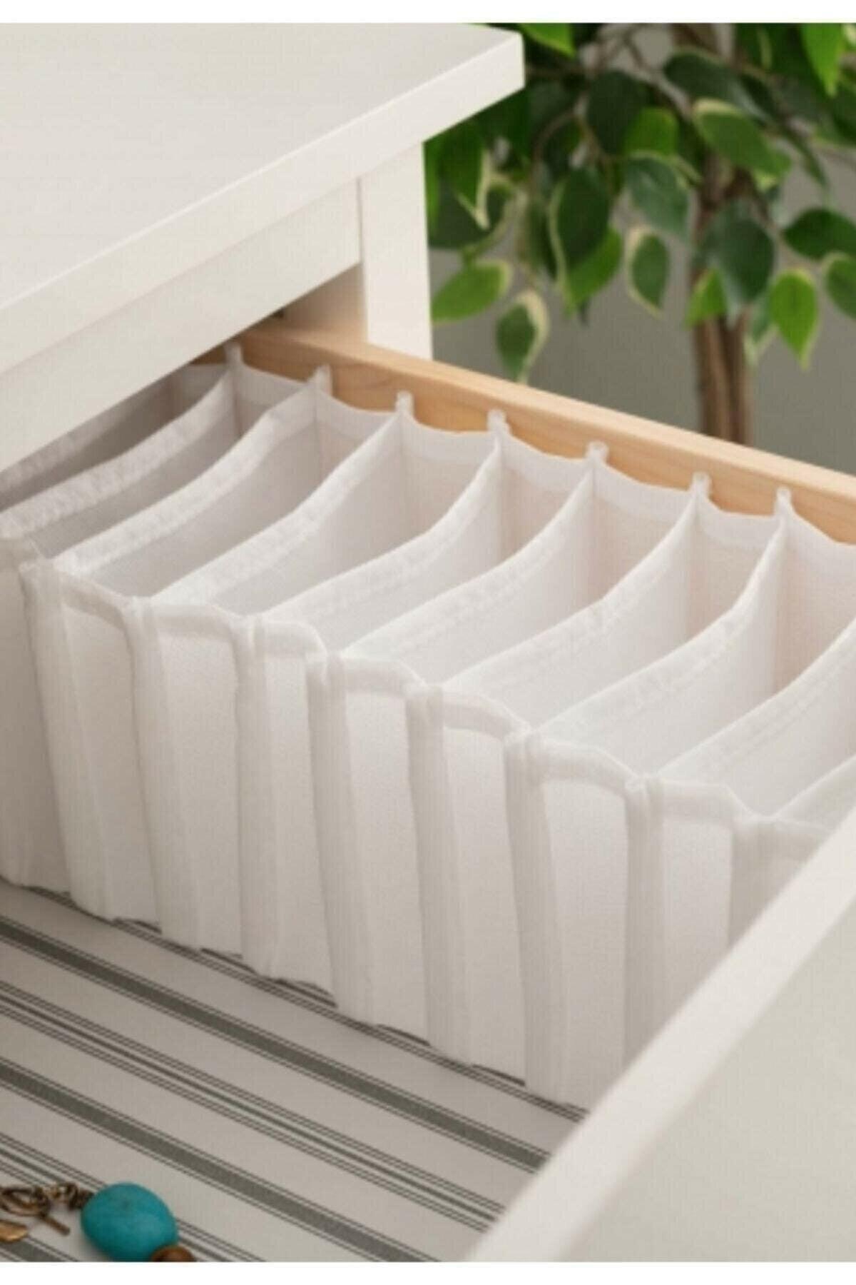2 Drawer Accordion