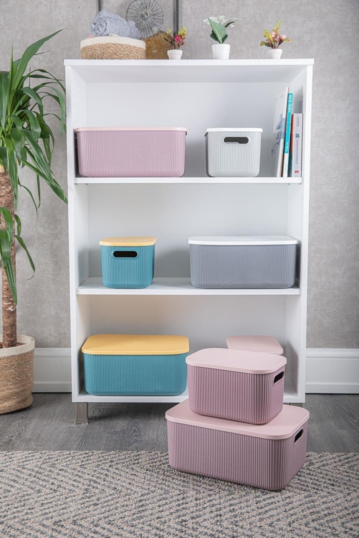 2 Pcs. Storage 13 Lt Purple Multi-Purpose Cabinet
