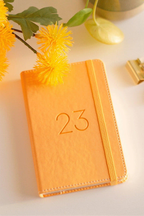 2023 Rubberized Daily Pocket Diary 12