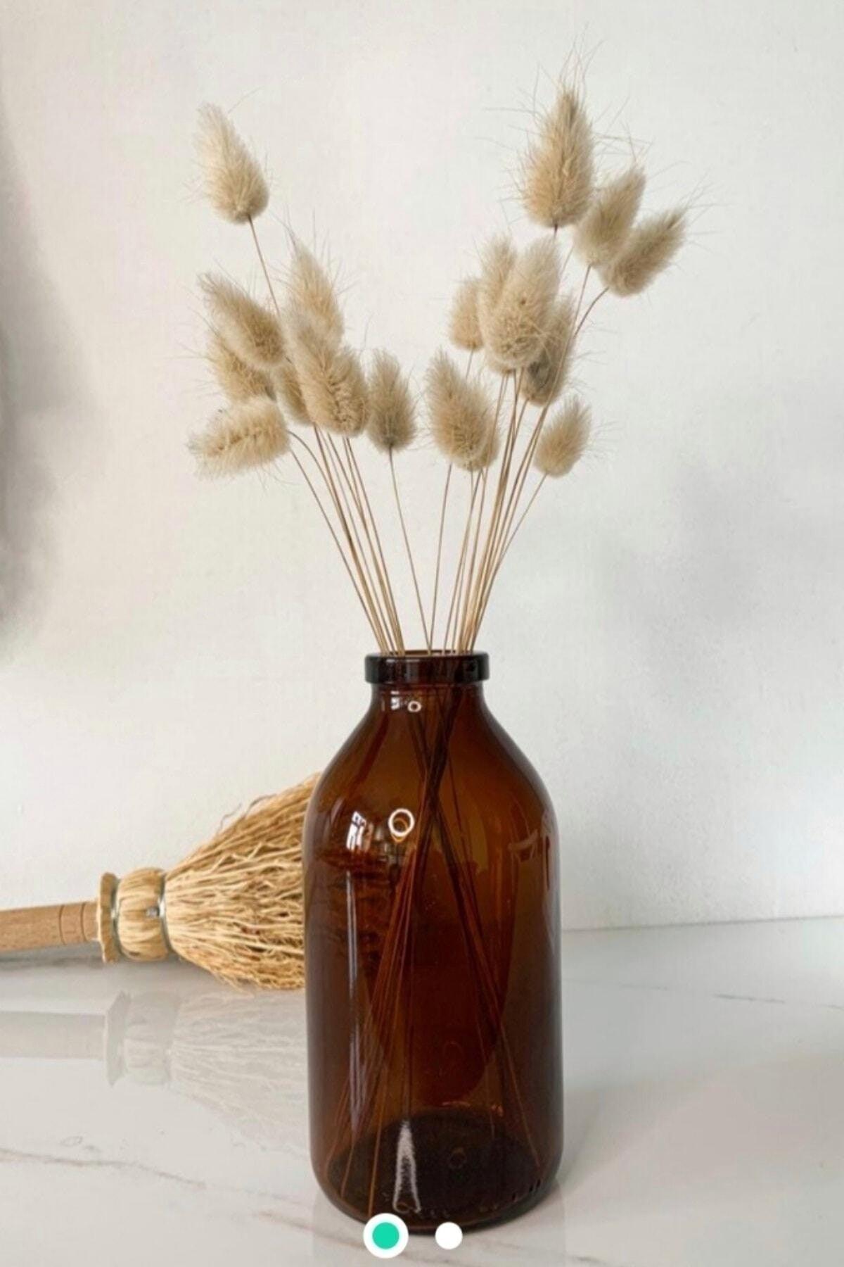 250 Ml Amber Brown Mini Glass Vase - Swordslife