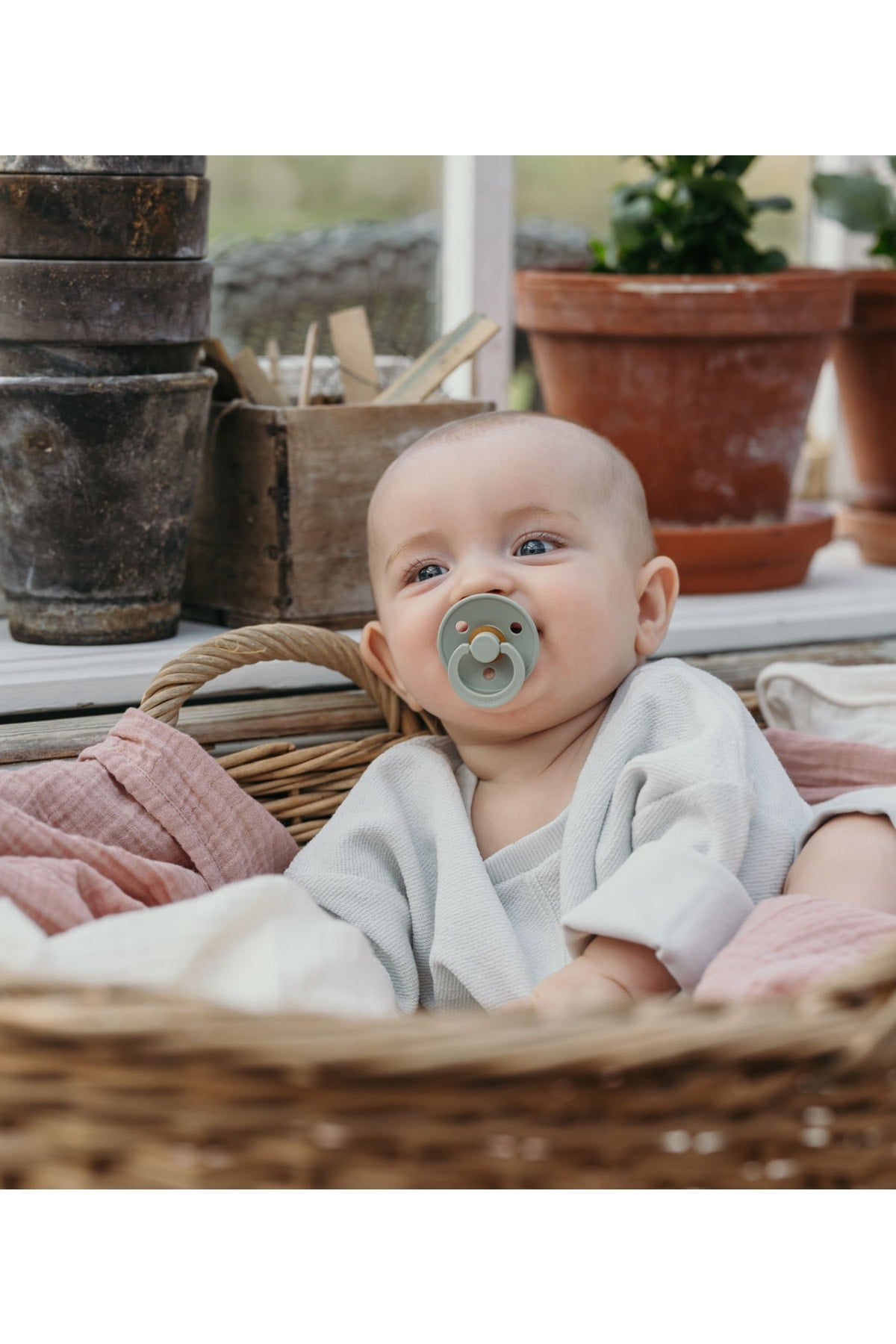 Color Rubber Pacifier - Sage 0-6 Months