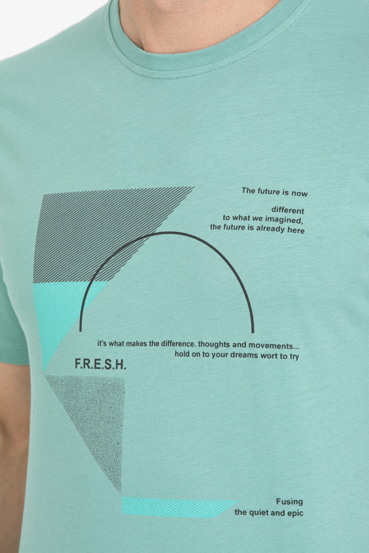 Men'S Printed T-Shirt Regular Fit Mint
