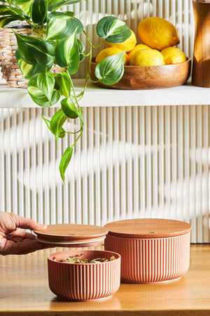 Massimo Set Of 2 Round Jars/Storage Containers Powder
